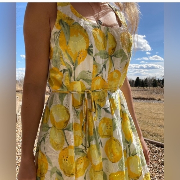 Pappagallo Lemon Print Midi Dress - Picture 3 of 9